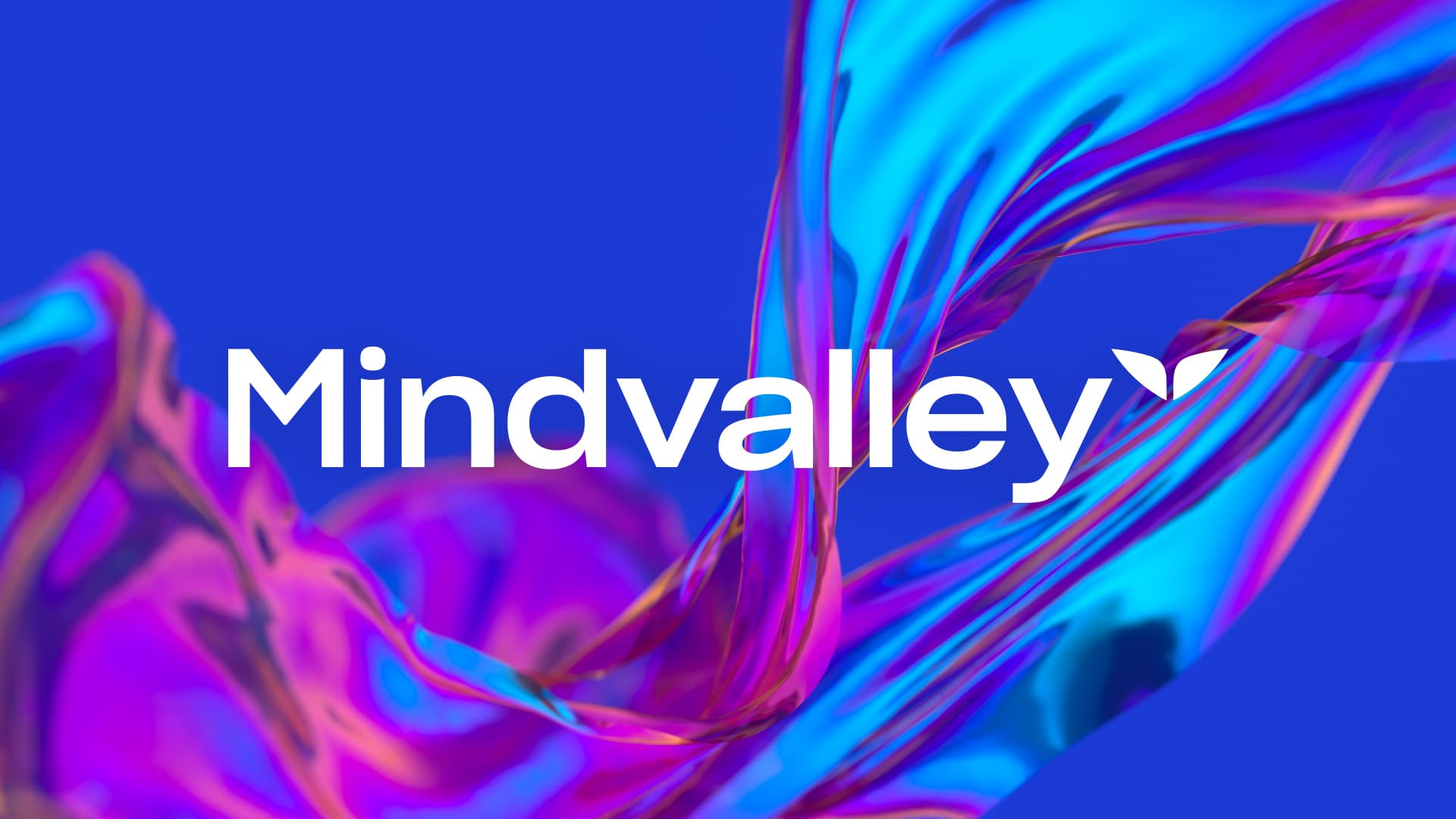 Vally brand